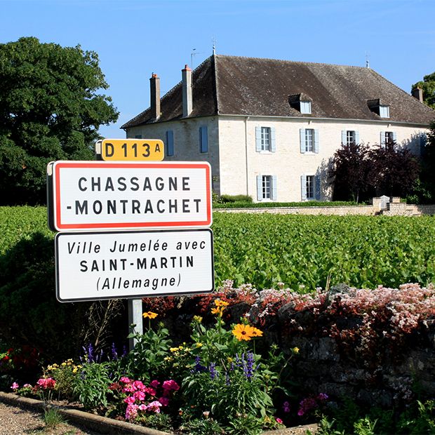 Chassagne-Montrachet | Le Grain de Raisin | Dégustation de vins à Limoges et alentours