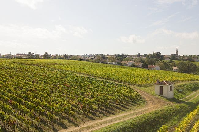 Domaine Fresne | Le Grain de Raisin | Dégustation de vins à Limoges et alentours