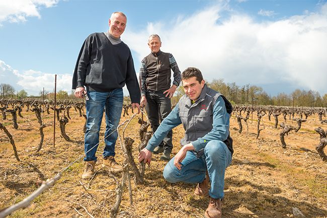 Fresne Vignes | Le Grain de Raisin | Dégustation de vins à Limoges et alentours