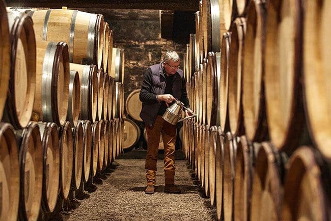 Caves - Savigny les beaune | Le Grain de Raisin | Dégustation de vins à Limoges et alentours